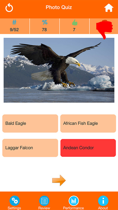 Animals : Wild Birds Quiz screenshot 3