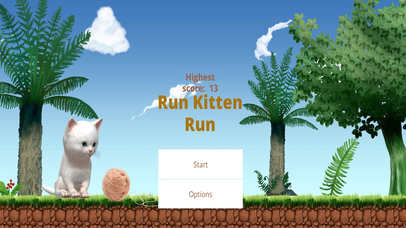 Run Kitten Run! screenshot 3