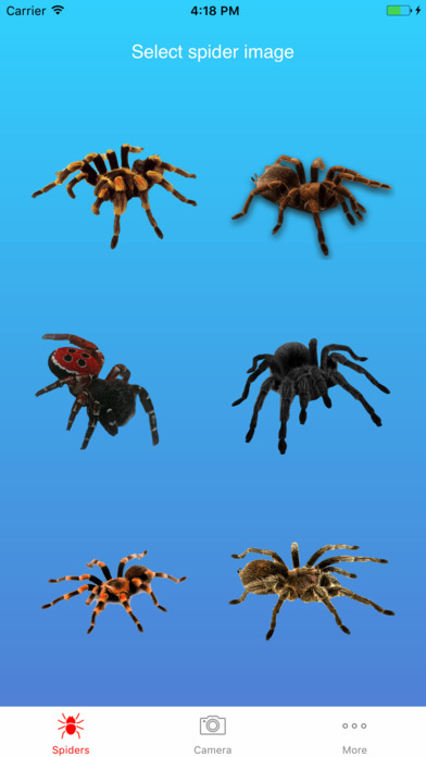 Spider on Screen Prank screenshot 2