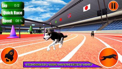 Dog Racer Simulation 2017 screenshot 4