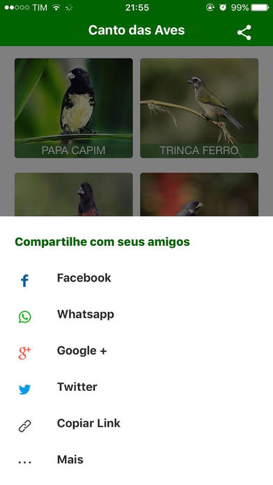 Cantos das Aves -Sons Pássaros screenshot 2