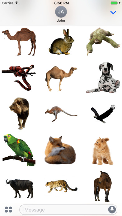 Animals Stickers! screenshot 2