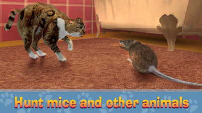 House Cat City Survival Sim screenshot 3