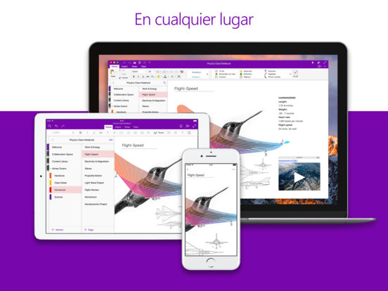 Captura de pantalla del iPad 5