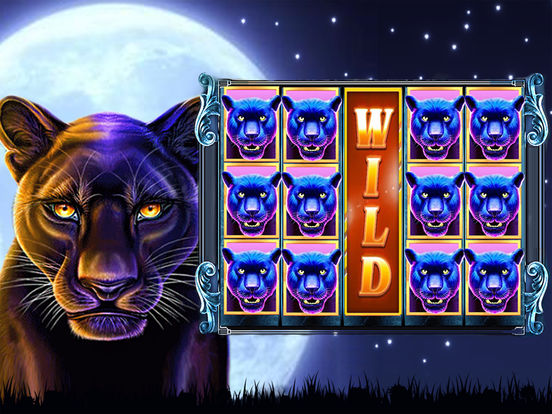 golden tiger casino login golden tiger casino login