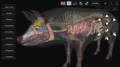 3D Pig Anatomy screenshot 2