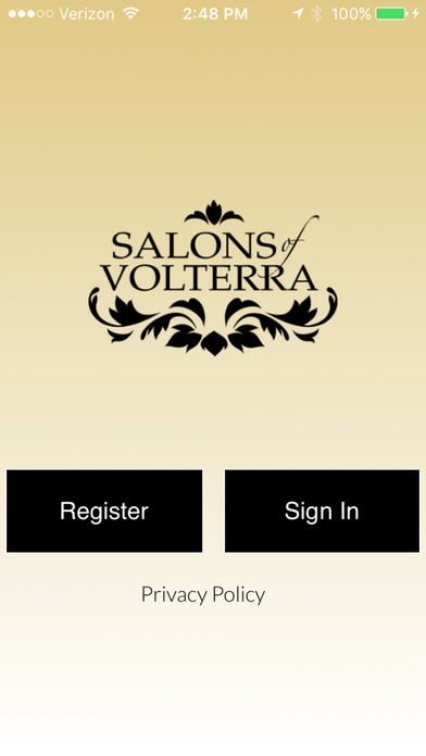 Salons of Volterra screenshot 2