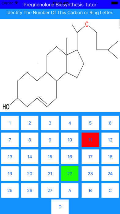 Pregnenolone Synthesis Tutor screenshot 4