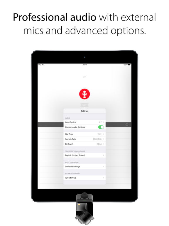 iPad Screenshot 4