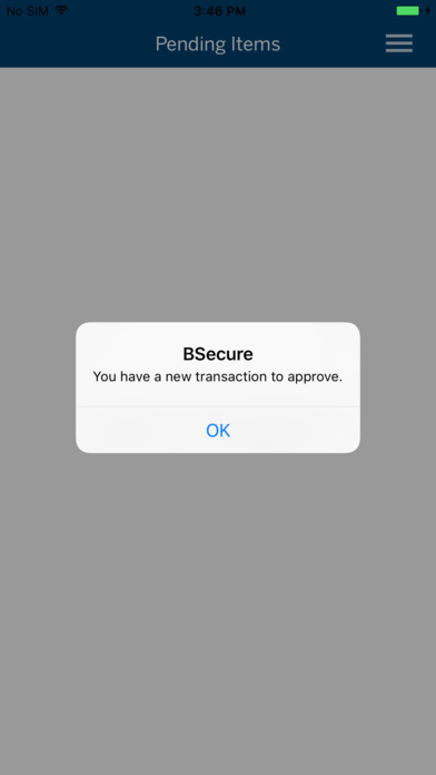 Brown Advisory BSecure screenshot 3