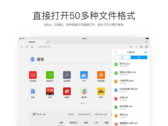 iPad Screenshot 5