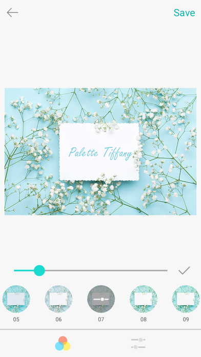 Palette Tiffany screenshot 2