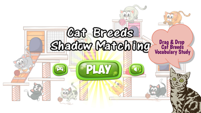 Cats And Kittens Shadow Matching Game screenshot 4