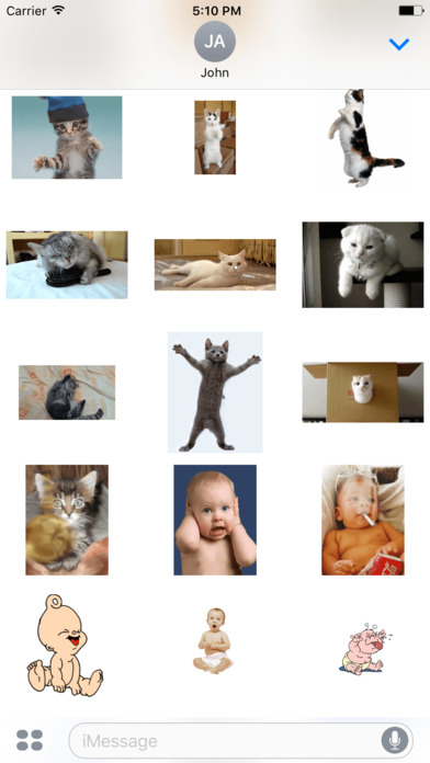 Funny Animal Cat Baby Stickers screenshot 3