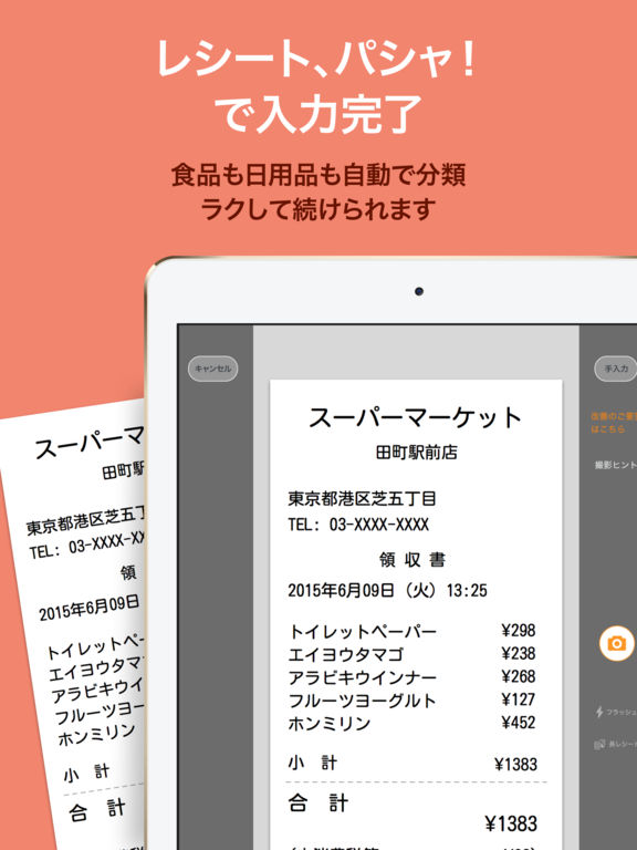 iPad Screenshot 5