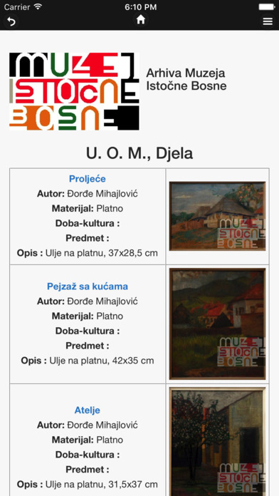 Muzej Istočne Bosne Tuzla screenshot 4