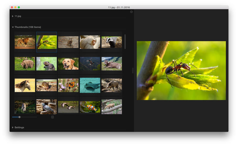 Phiewer - Image Viewer for Photos, Videos & Audio 앱스토어 스크린샷