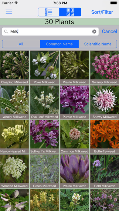 Minnesota Wildflowers Info. screenshot 2