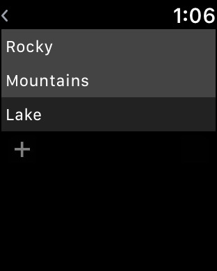 iPhone Screenshot 5