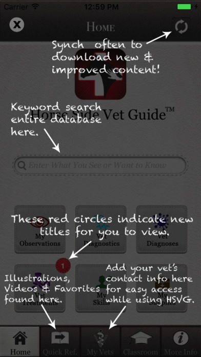 iPhone Screenshot 2