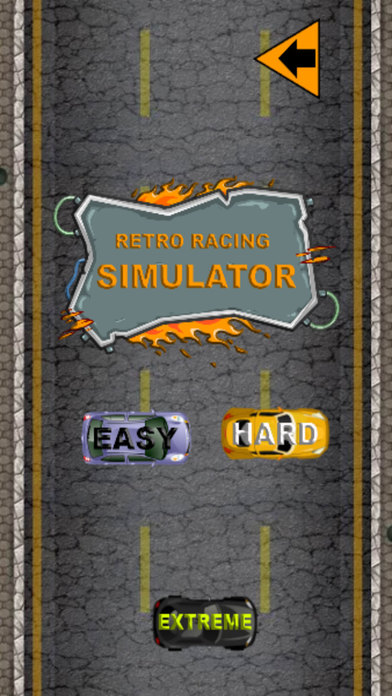 Retro Racing Simulator screenshot 3