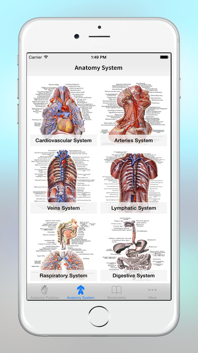 Anatomy - 1K+ Illustrations screenshot 2