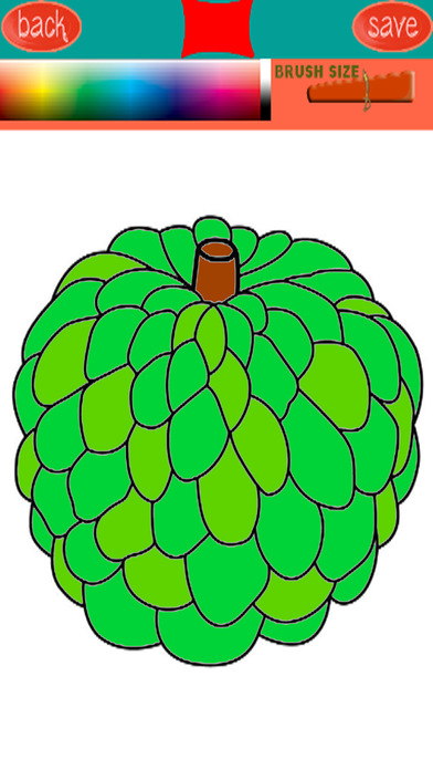 Learn Fruits And Drawing Coloring Book Version screenshot 2