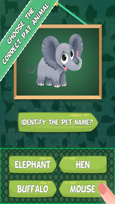 Pet Animal Quiz Kids Games Pro screenshot 3
