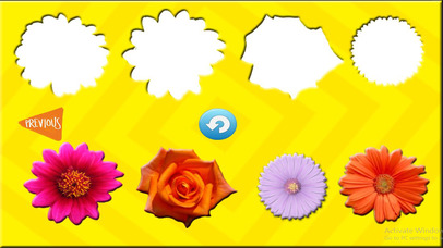 Fun Learning Flower Shapes Sorting game for kids screenshot 4