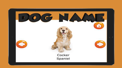 The Dog Name English Vocabulary screenshot 2