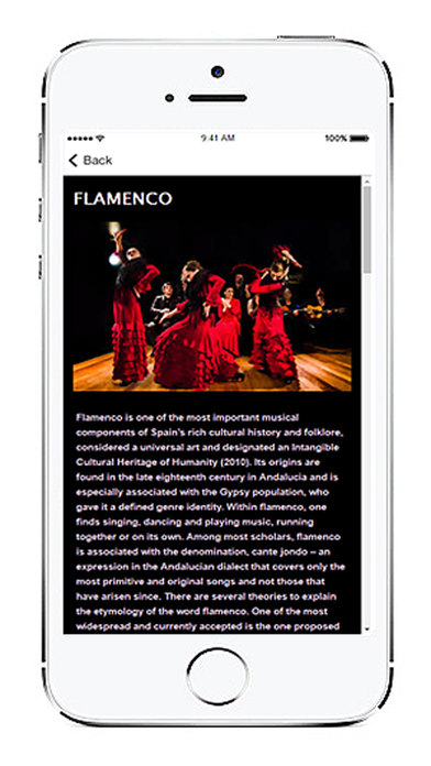 Flamenco Radios screenshot 2