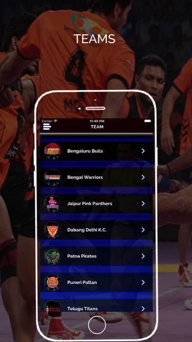 Kabaddi Pro - 2017 screenshot 3