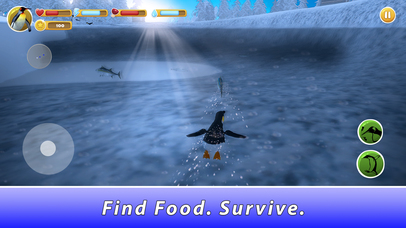 Penguin Family Simulator screenshot 3