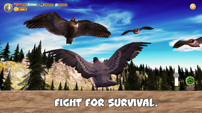 Wild Pigeon Simulator screenshot 4