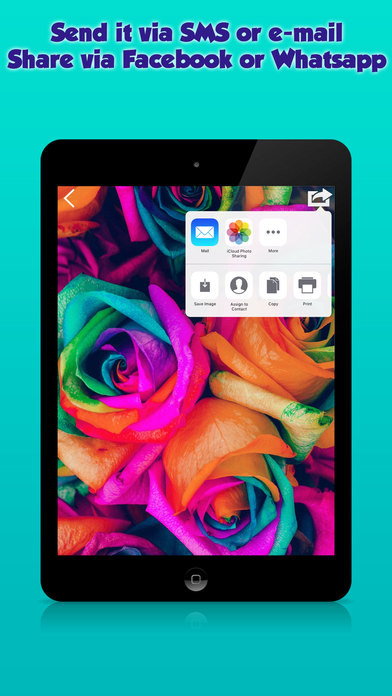 Themes & Wallpapers HD for iPhone, iPod and iPad screenshot 4