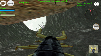 Scorpion Insect Simulator screenshot 3