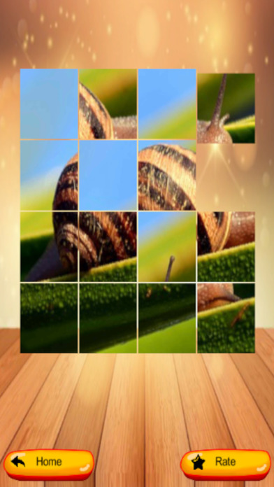 Puzzle My Pic screenshot 3