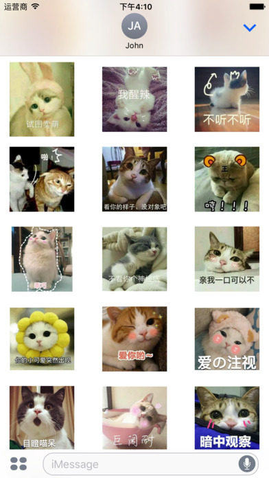 Real Cat Emoji Sticker screenshot 3
