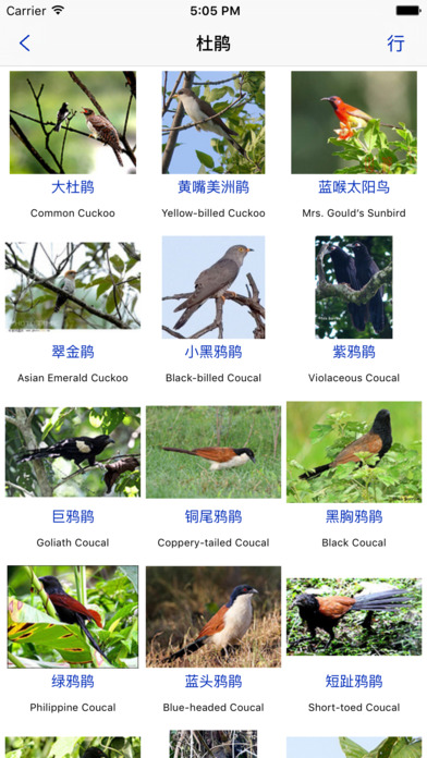 Bird ID-Picture&Audio screenshot 2