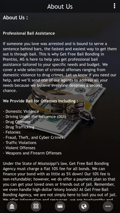 Get Free Bail Bonding screenshot 2