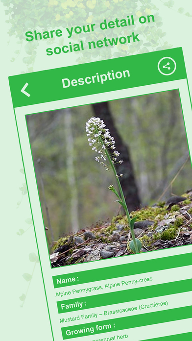 Tree Plant Garden Answers Identification screenshot 4
