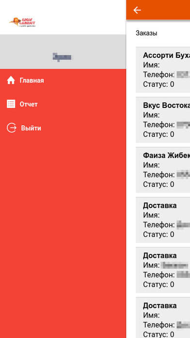 Ковер Самолет Курьер screenshot 3