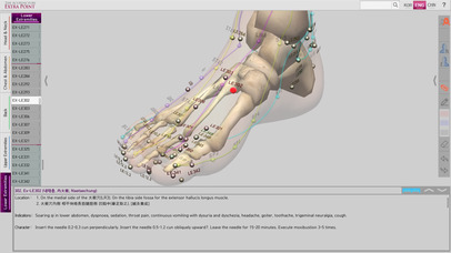 The Acupuncture of Extra Point screenshot 4