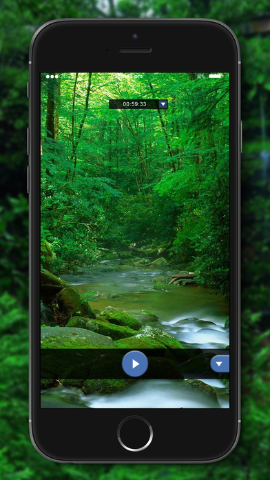 Relaxing Nature - Forest Sounds screenshot 2