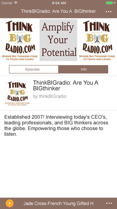 ThinkBIGradio PodCast screenshot 2