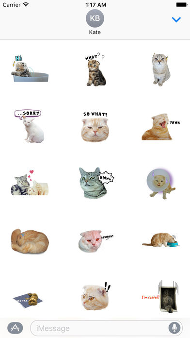 Adorable Scottish Fold Cat Sticker screenshot 2