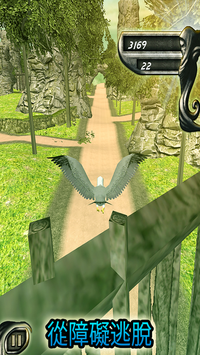 叢林鳥飛逃避風險 screenshot 4