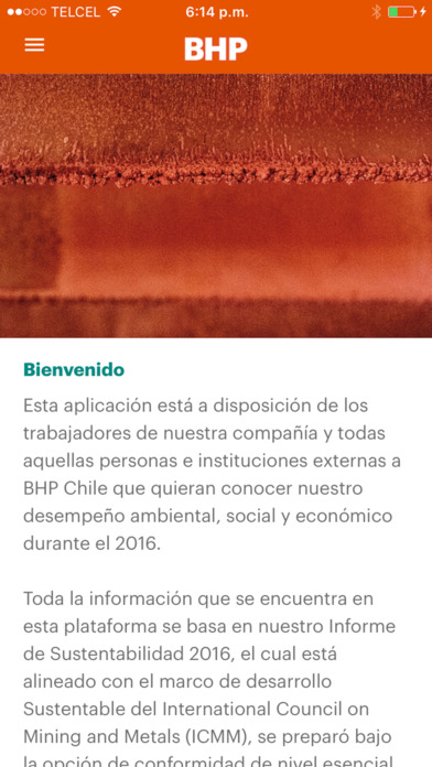 BHP Chile - Informe de Sustentabilidad 2016 screenshot 2