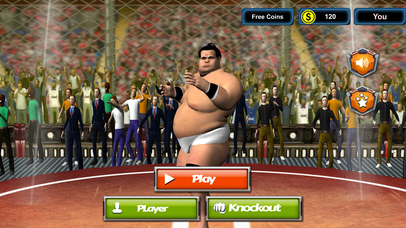 Sumo Wrestling Manager 2017 - The Wrestler's Fight screenshot 3