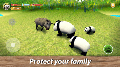 Panda Family Simulator screenshot 4